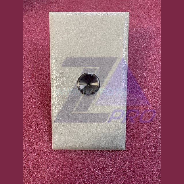 Вызывной пост с антивандальным кнопочным модулем КЛ-039-039