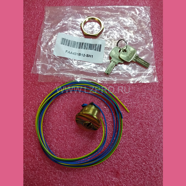 Ключевина (ключ SH1 2 шт., полированная латунь) FAA431B12 Otis