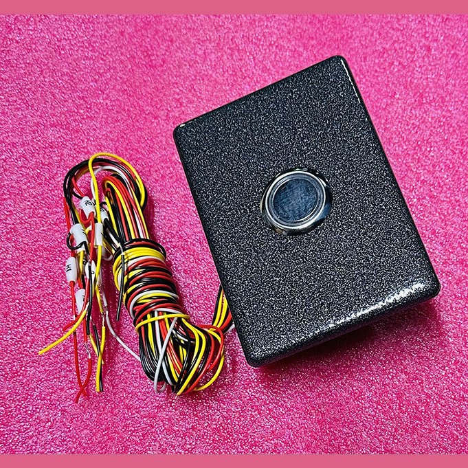 Пост вызывной (10 проводов) ПЛВ-ШУЛК-ПУ